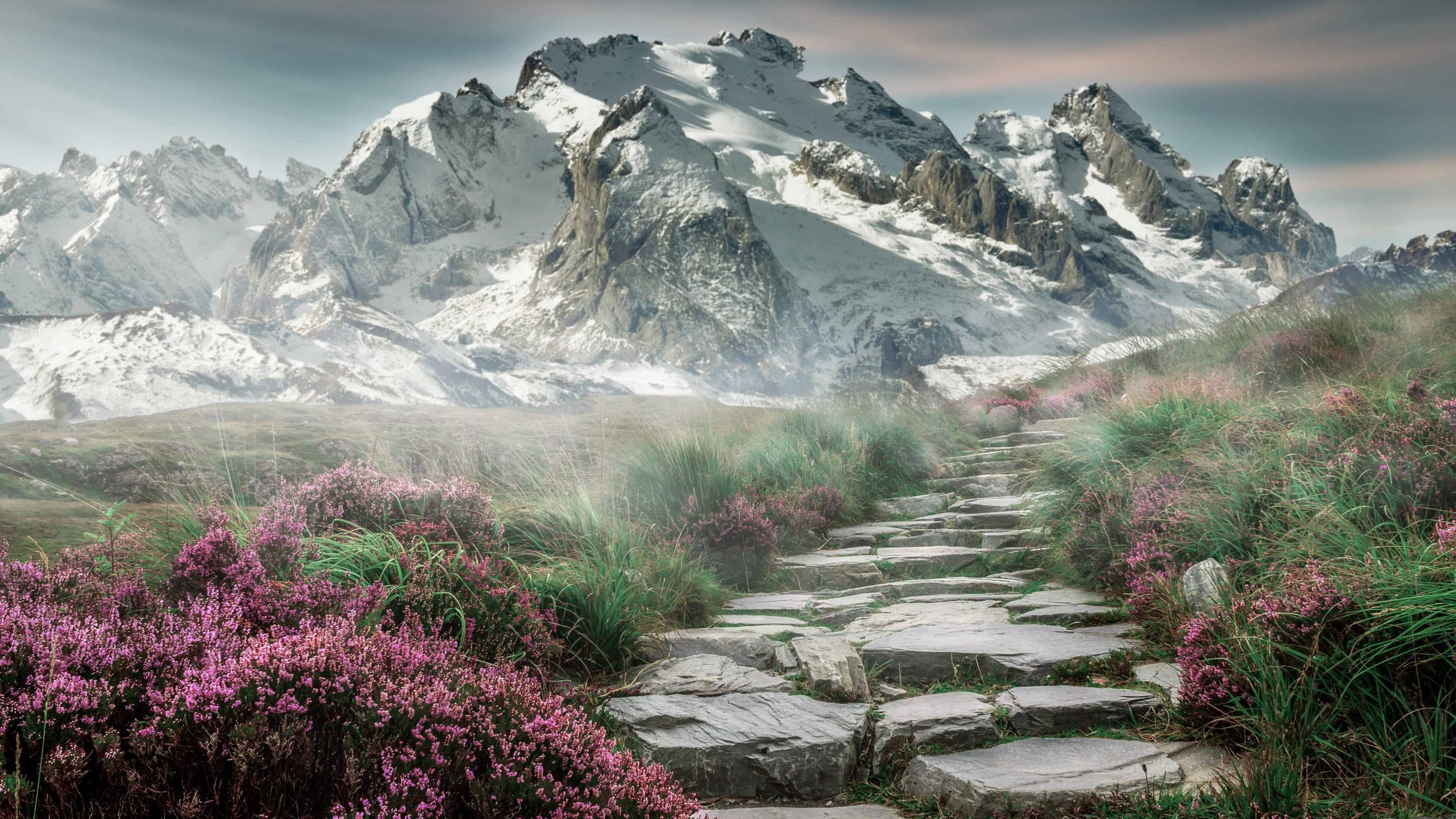 NBA球员训练强度科学管理,nba球员训练时间