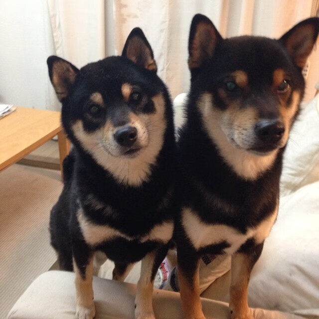 开云体育在线登入-欧洲杯变阵奇迹：多变布局引领潮流！，欧洲杯迎来结局